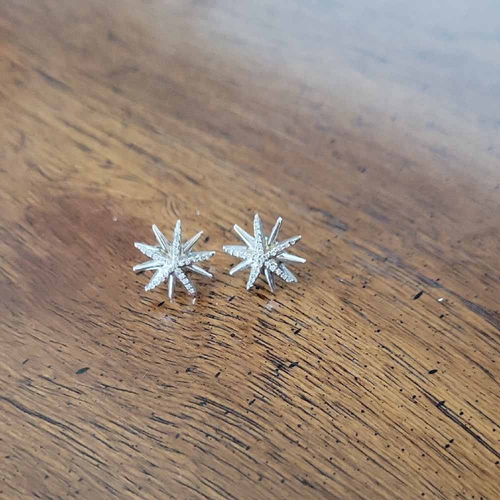 Silver Starburst Earrings